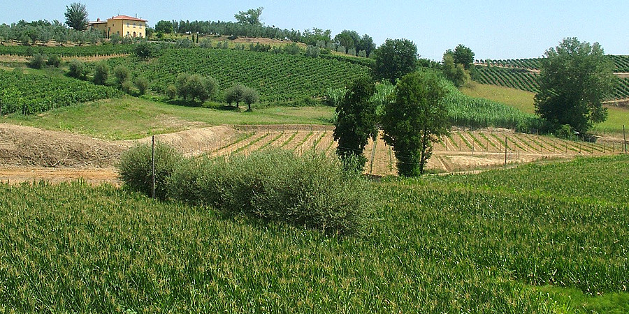 Il Vino e l'Olio Toscano